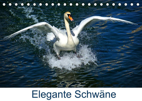 Elegante Schwäne (Tischkalender 2022 DIN A5 quer)