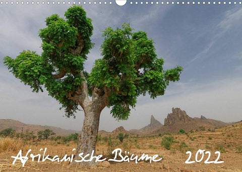 Afrikanische Bäume (Wandkalender 2022 DIN A3 quer)