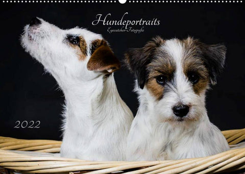Hundeportraits Eyecatcher-Fotografie (Wandkalender 2022 DIN A2 quer)