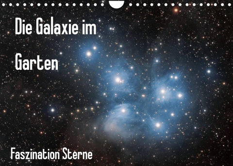 Die Galaxie im Garten (Wandkalender 2022 DIN A4 quer)