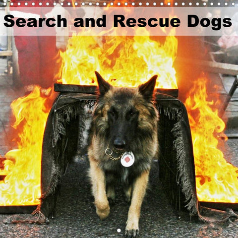 Search and Rescue Dogs (Wall Calendar 2022 300 × 300 mm Square)