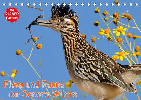 Flora und Fauna der Sonora Wüste (Tischkalender 2022 DIN A5 quer)