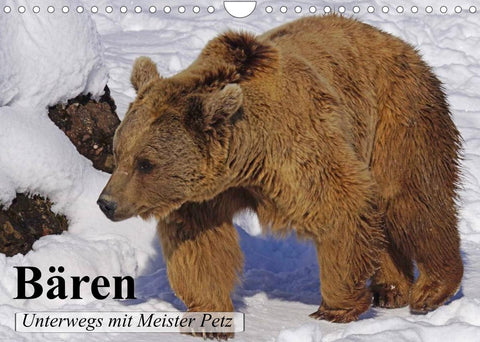Bären. Unterwegs mit Meister Petz (Wandkalender 2022 DIN A4 quer)