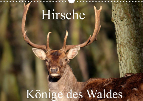 Hirsche - Könige des Waldes/Geburtstagskalender (Wandkalender 2022 DIN A3 quer)