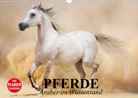 Pferde. Araber im Wüstensand (Wandkalender 2022 DIN A3 quer)