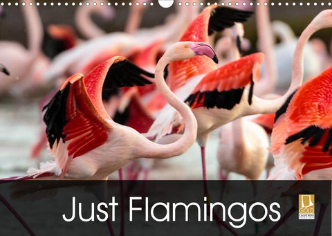 Just Flamingos (Wall Calendar 2022 DIN A3 Landscape)