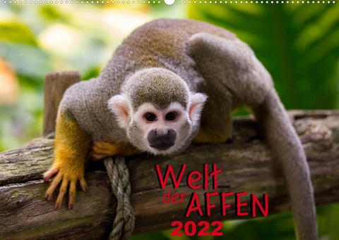 Welt der Affen (Wandkalender 2022 DIN A2 quer)