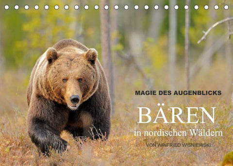Magie des Augenblicks - Bären in nordischen Wäldern (Tischkalender 2022 DIN A5 quer)