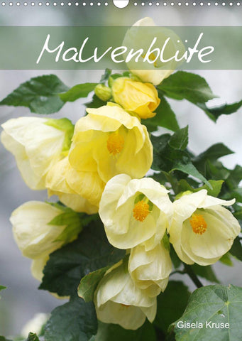 Malvenblüte (Wandkalender 2022 DIN A3 hoch)