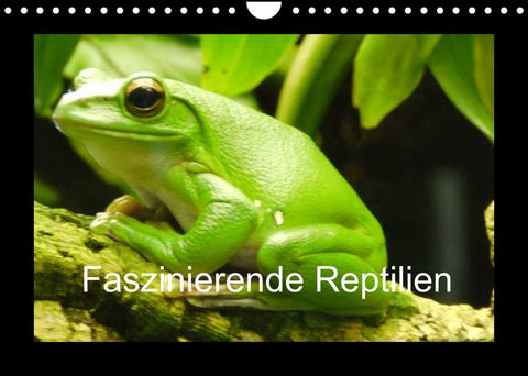 Faszinierende Reptilien (Wandkalender 2022 DIN A4 quer)