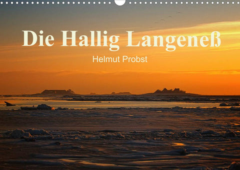 Die Hallig Langeneß / CH-Version (Wandkalender 2022 DIN A3 quer)