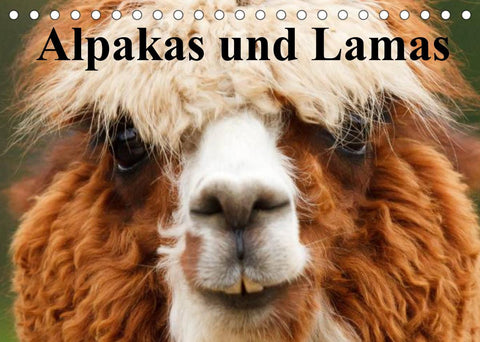 Alpakas und Lamas (Tischkalender 2022 DIN A5 quer)