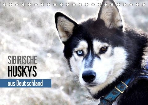 Sibirische Huskys aus Deutschland (Tischkalender 2022 DIN A5 quer)