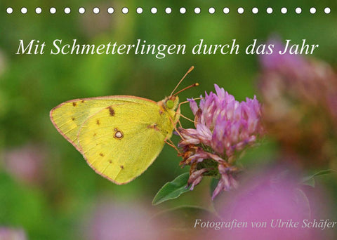 Mit Schmetterlingen durch das Jahr (Tischkalender 2022 DIN A5 quer)