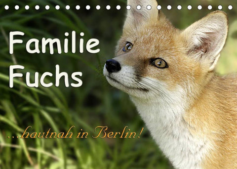 Familie Fuchs hautnah in Berlin (Tischkalender 2022 DIN A5 quer)