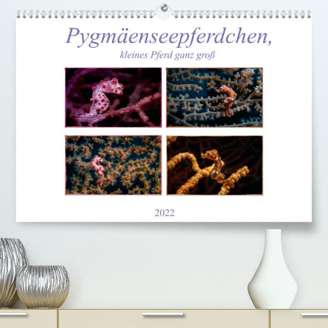 Pygmäenseepferdchen, kleines Pferd ganz groß (Premium, hochwertiger DIN A2 Wandkalender 2022, Kunstdruck in Hochglanz)