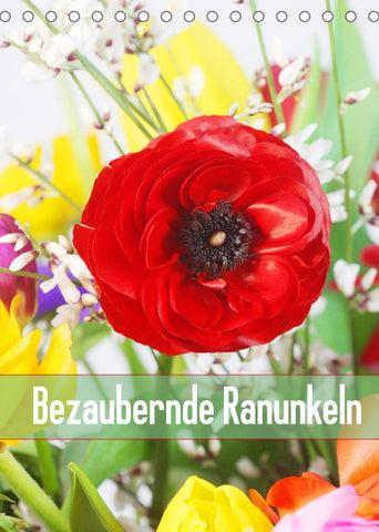Bezaubernde Ranunkeln (Tischkalender 2022 DIN A5 hoch)