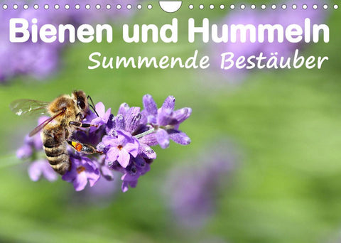 Bienen und Hummeln Summende Bestäuber (Wandkalender 2022 DIN A4 quer)