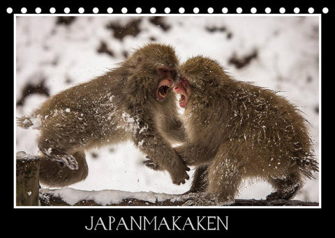 Japanmakaken (Tischkalender 2022 DIN A5 quer)
