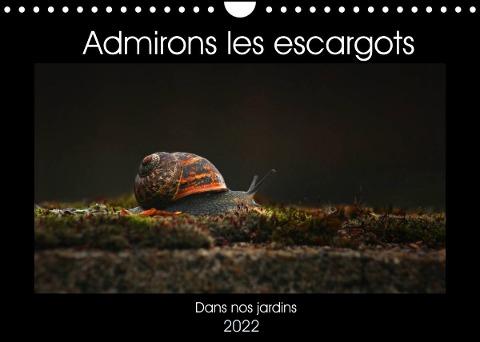 Admirons les escargots (Calendrier mural 2022 DIN A4 horizontal)